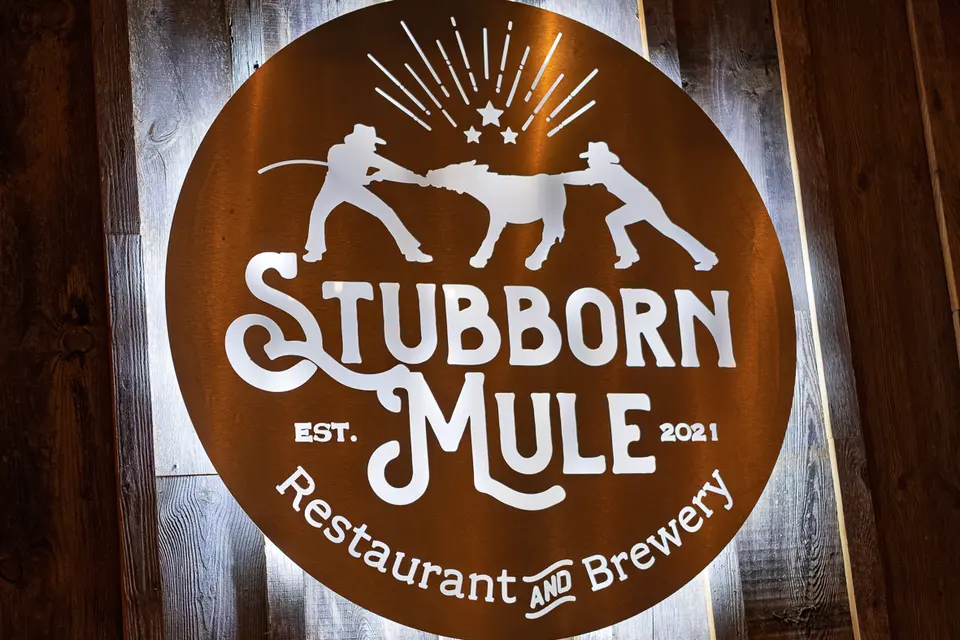 Photo 81 of 93, painting Highland Bull at Stubborn Mule Restaurant & Brewery